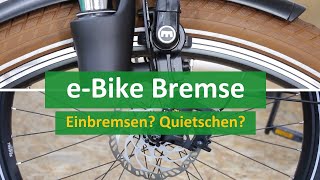 eBike Bremse richtig einstellen amp einbremsen  Was tun bei Quietschen Rattern und Schleifen [upl. by Ynottirb]