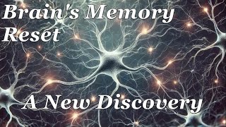 Brains Memory Reset Switch [upl. by Godliman]