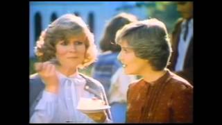 Dream Whip Whipped Topping Mix CommercialAt An Outdoor Party 1980 [upl. by Ahsiekrats]