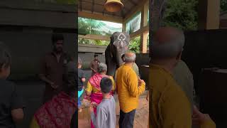 Elephant at Durga Parameshwari Temple Kateel [upl. by Leakim558]