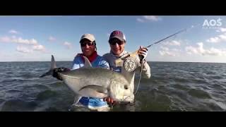 Farquhar Atoll  Seychelles  Fliegenfischen  Fly Fishing  Giant Trevally [upl. by Mahmud]