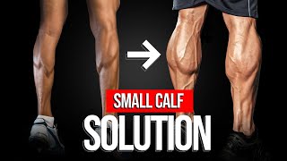 How To Get Bigger Calves The Best Training Program And Techniques [upl. by Halden]