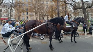 quotHalte à la taxequot la filière hippique manifeste sa colère [upl. by Mazur]