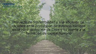 Proyecto de Sostenibilidad en Avellano y su aporte en la formación de capital humano [upl. by Marte]