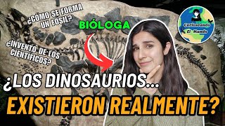 ¿LOS FÓSILES DE DINOSAURIOS SON UN FRAUDE  BIÓLOGA RESPONDE  Curioseando El Mundo [upl. by Eitten]