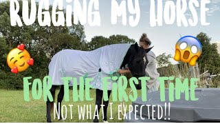 Rugging my horse for the FIRST time EVER [upl. by Nygem]