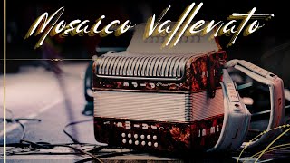 Pipe Jaime  Mosaico Vallenato  Cover [upl. by Seira]