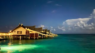 Ozen Reserve Bolifushi Maldives 4K [upl. by Fabrianna596]