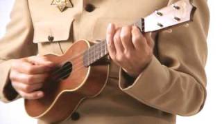 Greg Hawkes  The Beatles UKE  Eleanor Rigby [upl. by Nwahshar]