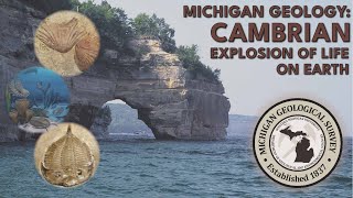 Michigan Geology  Cambrian  Explosion of Life on Earth [upl. by Cathey731]