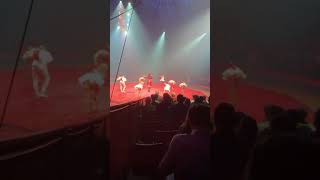 Circus Knie Premiere in Basel 2019 100 Jahre Circus Knie Finale [upl. by Jarret184]