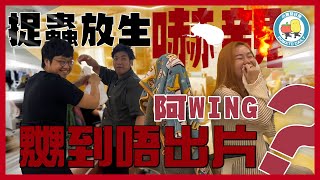 【蟲蟲特工隊🪲】Studio蟲患！阿Wing嚇到嬲嬲豬😡｜小薯茄日常 Pomato Daily [upl. by Nangatrad]