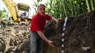 Root Pit Soil Profile Examination [upl. by Schramke654]