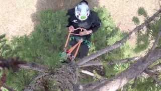 Hitch Climbers Guide to the Canopy part 1 [upl. by Jarrad]