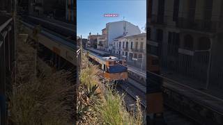 RODALIES R1 RG1 Caldes dEstrac Tren S447 trains trenes trainvideo rodalies [upl. by Nomihs]