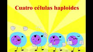 Proceso de meiosis etapas [upl. by Ydiarf145]