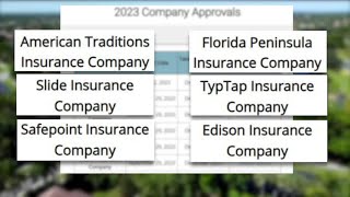 6 new insurance companies approved in Florida [upl. by Nelrah788]