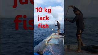 indian ocean big jackfish [upl. by Ahsi]