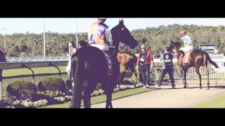 400 lux  horse racing [upl. by Ramu]