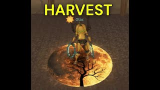 ARCANE LEGENDS0 HARVEST 2024 [upl. by Uol]