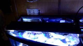 DSunY LED aquarium light ProgrammableUltra ThinDasiychain review [upl. by Derinna899]