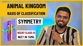 Animal Kingdom  NEET2025  NCERT ClassXI Biology  Basis of Classification  Symmetry [upl. by Iral]