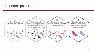 Nosocomial Pneumonia and InfluenzaPneumococcal Vaccines [upl. by Eillim]