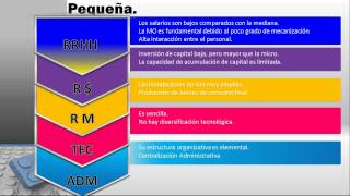 Clasificación y Carcacterísticas de las Pymes [upl. by Drofdarb378]