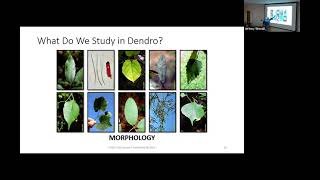 Intro to Dendrology [upl. by Fleta]