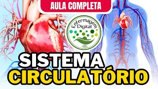 SISTEMA CIRCULATÓRIO  AULA COMPLETA  SISTEMA CARDIOVASCULAR [upl. by Loferski]