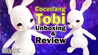 THE CUTEST BUNNY BJD  Cocoriang Tobi Unboxing [upl. by Noiemad]