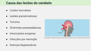 Síndromes Cerebelares [upl. by Erline]