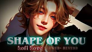 Shape Of You  Slowed  Reverb   Ed Sheeran  Lofi Love [upl. by Hilda465]