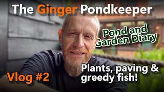 Vlog 2 Plants Paving and Greedy Fish  Pond amp Garden Diary  070724  130724 [upl. by Trebuh]