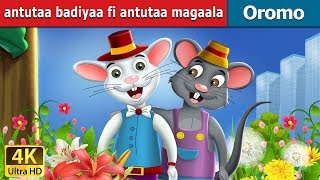 antutaa badiyaa fi antutaa magaala  Town Mouse and Country Mouse Story in Oromo  Oromo Fairy Tales [upl. by Attoynek]