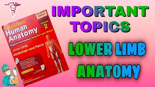 Important Topics  Lower Limb Anatomy [upl. by Hekker]