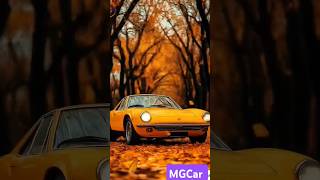 Autumn Lamborghinicars magiccars automagic shorts automaniacs [upl. by Hedda104]