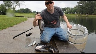 How to catch catfish with worms  fishing for catfish in a lake [upl. by Thacher153]