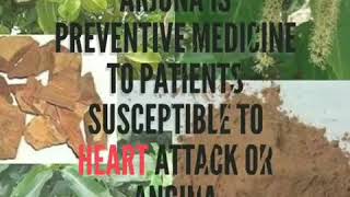 Is Arjuna cure for all heart diseases [upl. by Briggs70]