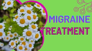 Feverfew to treat migraines [upl. by Getraer179]