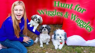 Assistant Hunts for Puppies Wiggles and Waggles from the Grinch [upl. by Jacie]