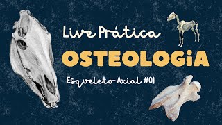 4ª Live Prática de Anatomia Descritiva I 20242 Esqueleto Axial [upl. by Keemahs]