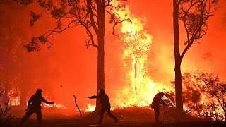 Terrifying moment crowning bushfire sets canopy ablaze in New South Wales [upl. by Aicirtel424]