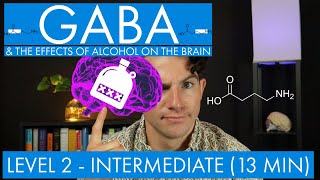 GABA  The Inhibitory Neurotransmitter  Alcohol in the Brain Level 2  Intermediate [upl. by Eelsew]