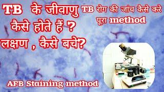 AFB staining method for TB How to stain procedure in हिंदी [upl. by Marlee108]