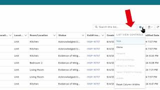 NSPIRE Case Management Creating Custom Views [upl. by Giana49]