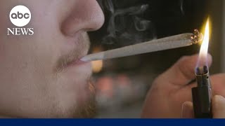 How the legalization of recreational cannabis use is on the rise [upl. by Neved]