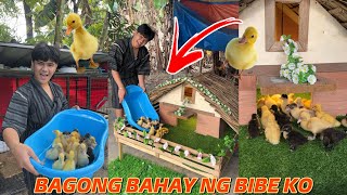 ANG GANDA NITONG PINAGAWA KONG BAHAY NG MGA BIBEKAKALIPAT PALA ITO NA AGAD GINAWA NILA [upl. by Alexandra]