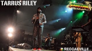 Tarrus Riley  Shes Royal  SummerJam 752013 [upl. by Nomed]