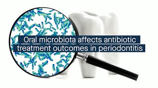 Oral microbiota affects clinical outcomes of systemic antibiotic treatment in periodontitis [upl. by Aydni931]